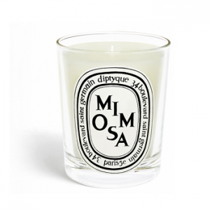 DIPTYQUE Mimosa Scented Candle 190g